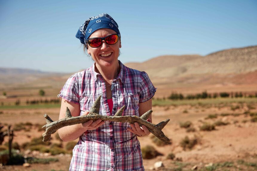 They discover the oldest dinosaur in the world, an anquilosour with a one -meter spike collar