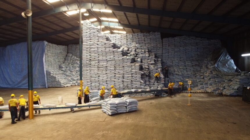 Guatemala accumulates US,709.1 million in exports and strengthens its sales to Central America