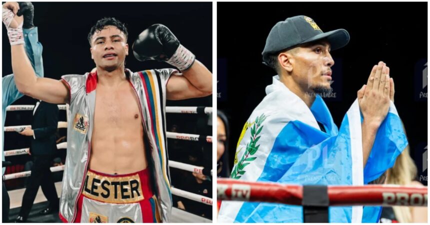 Congress approves financial support for Lester Martínez and Joshua Antón after WBC titles