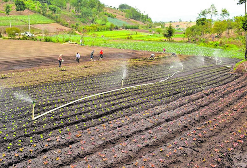 El Niño could prolong the dog days and increase the need for irrigation in Guatemala