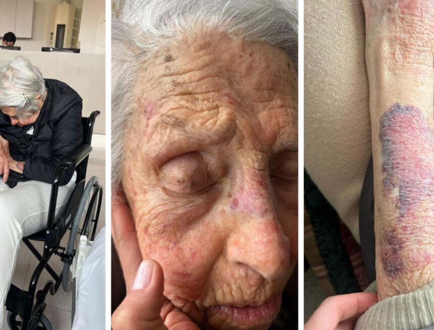 Doña Helena’s Nightmare: The “Elena del Mar” Empire Under the Shadow of Abuse and Ambition