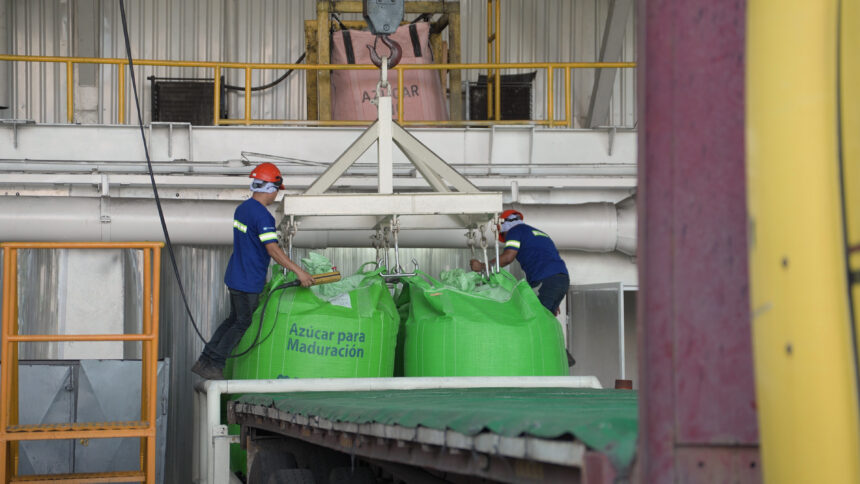 Monetary Board reviews economic projections, confirms growth of 4.1% for 2026 and adjusts remittances and inflation