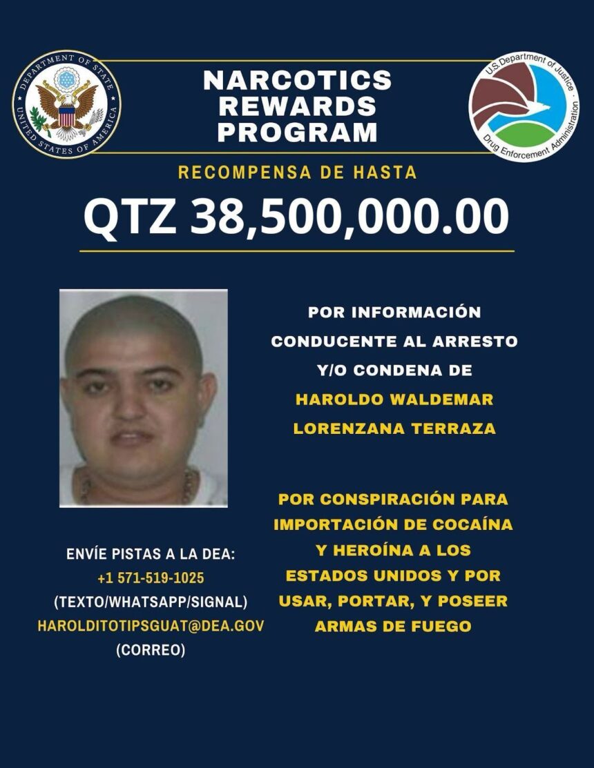 This was the rise of “Haroldito”, the leader of the Lorenzana clan who is a fugitive from justice