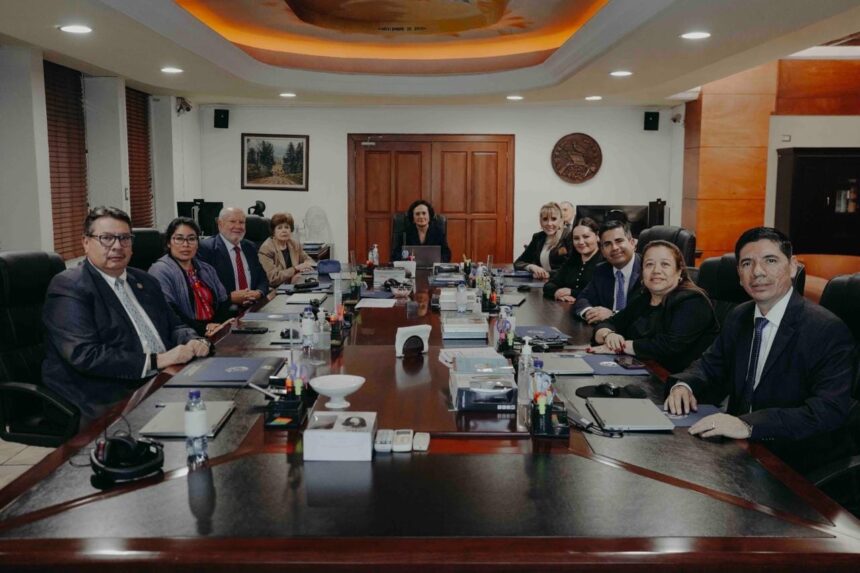 What does it contain and who filed the protection that the new CC must know and that could leave out the judges in the MP’s nomination