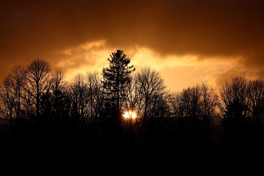 What will the weather be like in the US in the coming days?