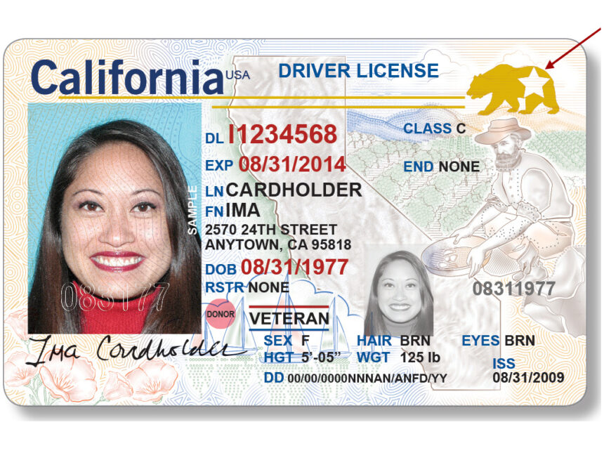 changes to Florida driver’s licenses by 2027
