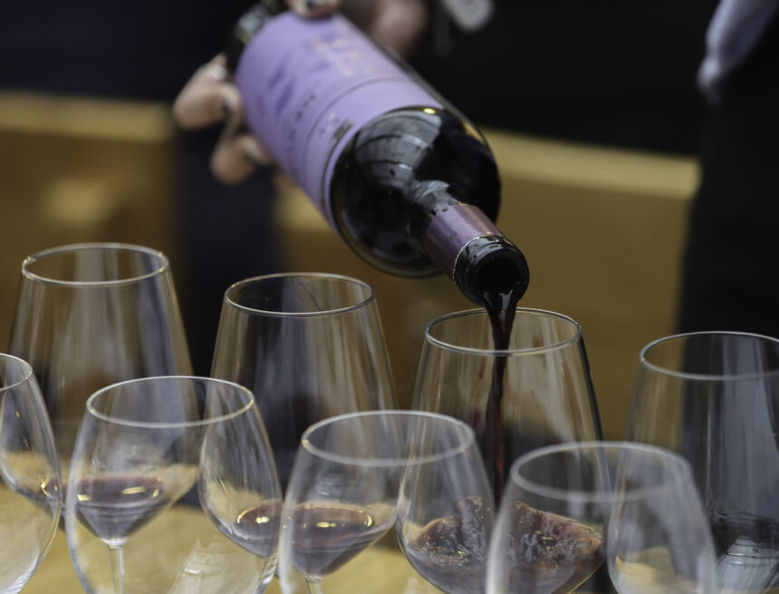 tastings, gastronomy and new experiences for wine lovers