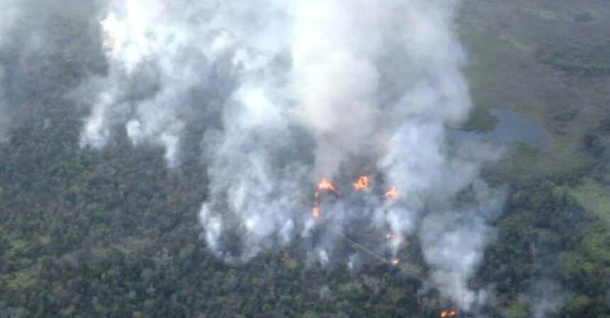 the most vulnerable to forest fires