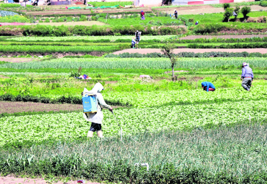 Due to conflict in the Middle East, fertilizer prices will rise and productivity will decrease