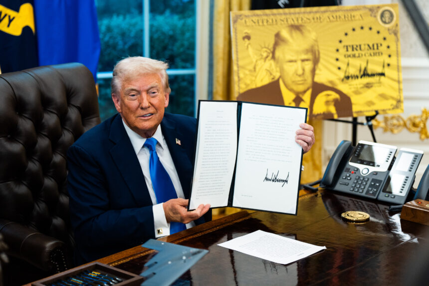 Lawyers from the global elite do not believe Trump’s gold card