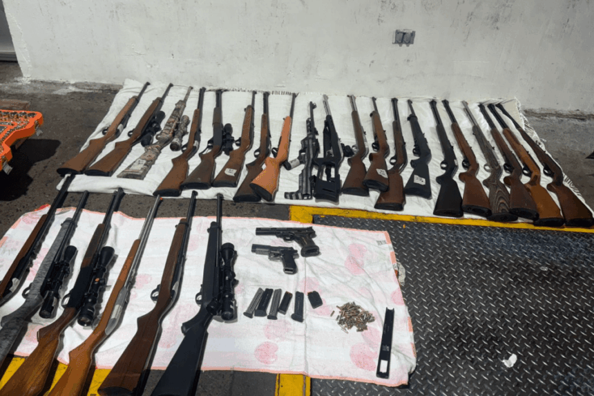 SAT alerts due to increase in illegal entry of weapons in maritime parcels
