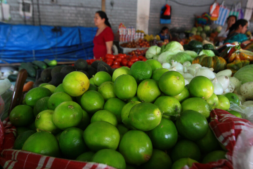 What does it contribute to the body and why is its regular consumption recommended?