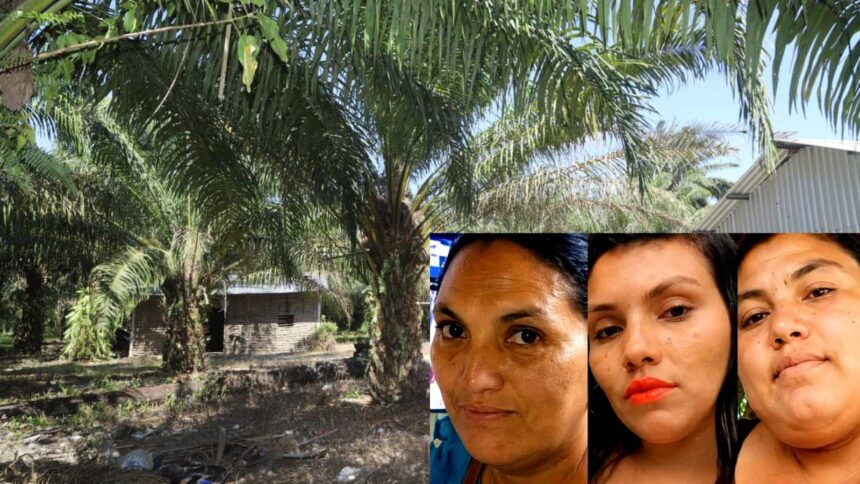 What is known about the three sisters murdered in a massacre on an African palm farm in Honduras?
