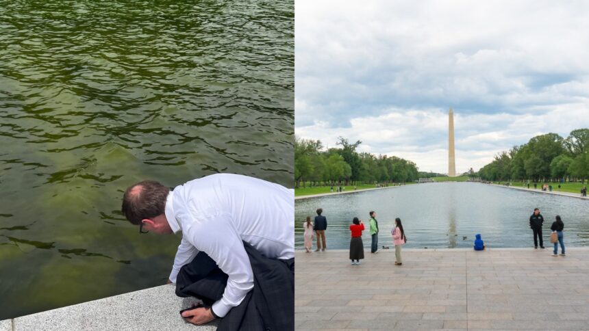  million later, algae returns to pond Trump remodeled