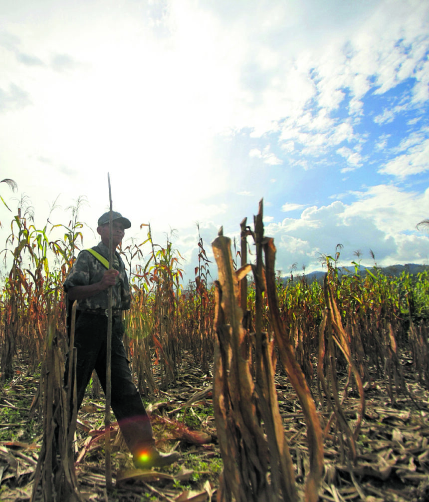 El Niño will reduce rainfall by a third this year, according to Insivumeh El Niño will reduce rainfall by a third this year, according to Insivumeh