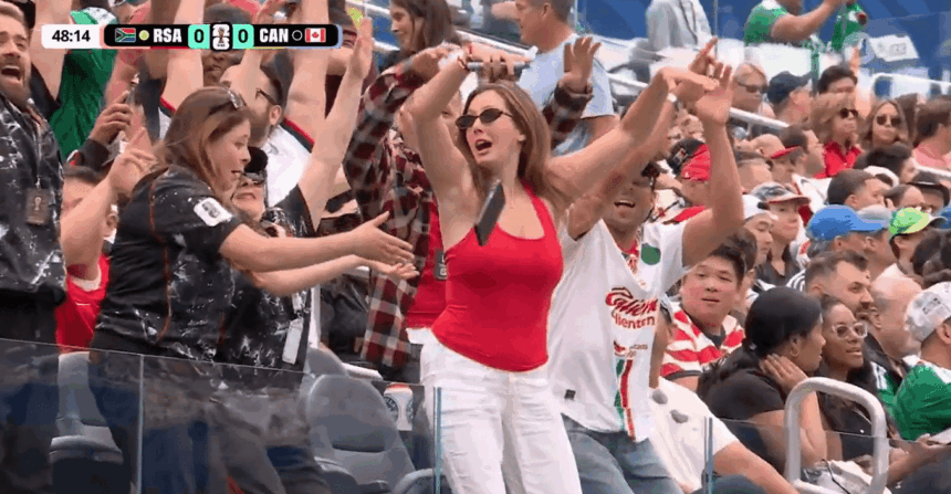 Fan loses her phone while doing the wave in the middle of the game