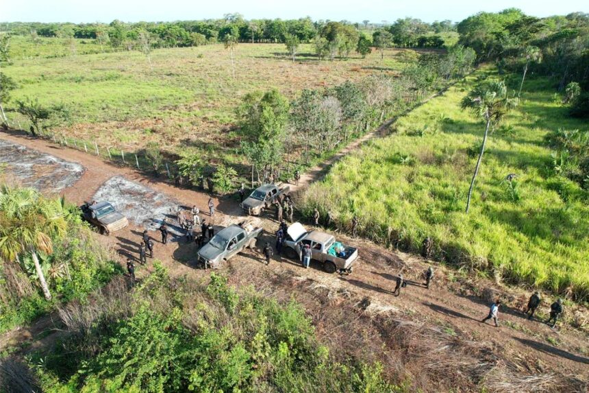 Landing strips, roads and other illegal structures are eliminated in the Maya Biosphere Reserve