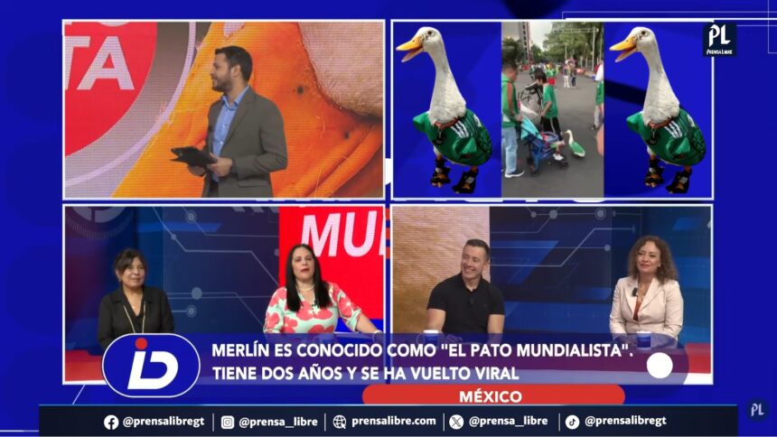 Merlin the duck conquers hearts at the 2026 World Cup
