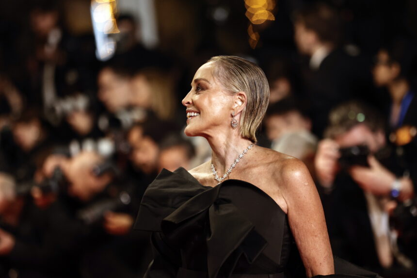 Sharon Stone’s statements about the series Euphoria Sharon Stone’s statements about the series Euphoria