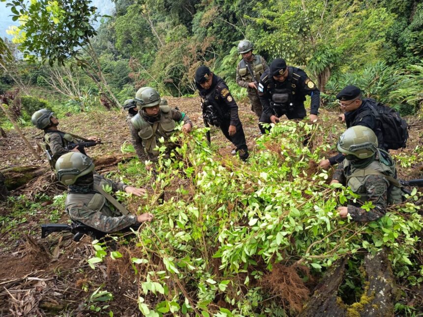 Soldiers walk to operations in Petén due to lack of resources, says expert who supports cooperation with the US. Soldiers walk to operations in Petén due to lack of resources, says expert who supports cooperation with the US.