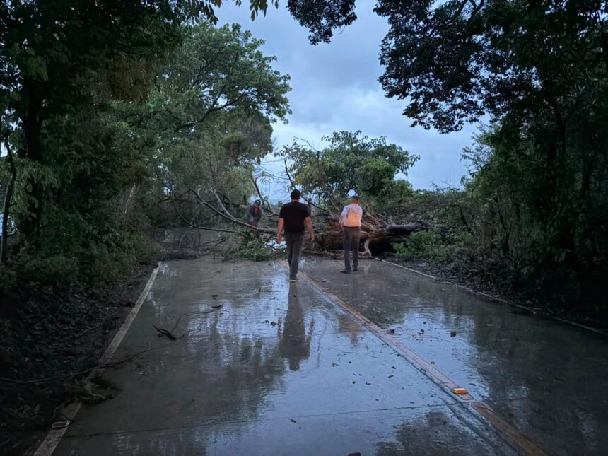 Storm Cristina moves to El Salvador while rains cause flooding and falling trees in Guatemala