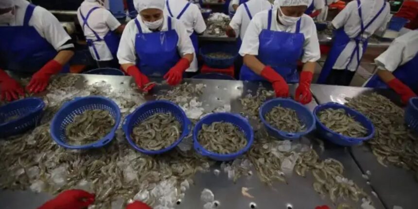The effects of Cristina could affect shrimp production in the Pacific of Guatemala