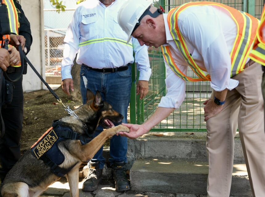 United States supervises K9 units for anti-drug support in Puerto Quetzal United States supervises K9 units for anti-drug support in Puerto Quetzal