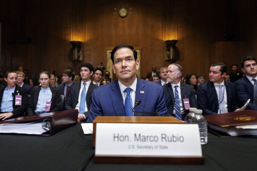 What Marco Rubio responded to the Senate about the elections in Colombia and if Trump falls asleep in meetings
