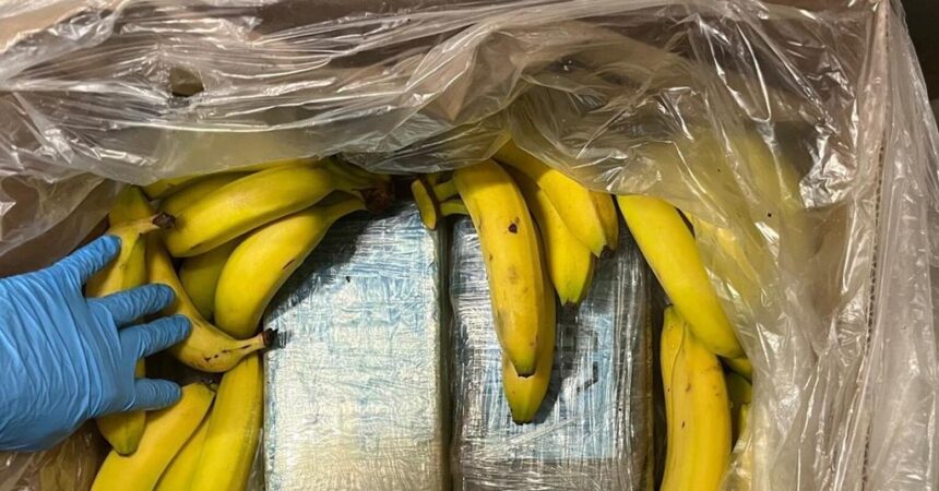 13 Tons of Cocaine Seized as Authorities Trace Alleged Global Money Laundering Network