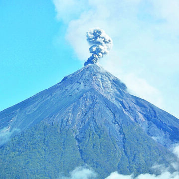 Conap establishes permitted and prohibited activities in 33 giants in the country