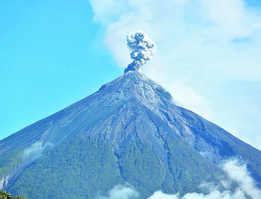 Conap establishes permitted and prohibited activities in 33 giants in the country