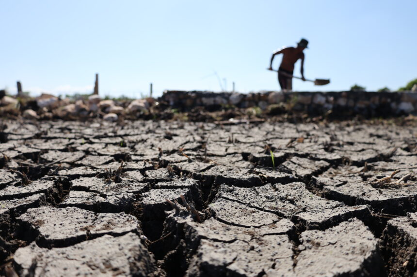 El Niño is shaping up to be the most intense in 150 years