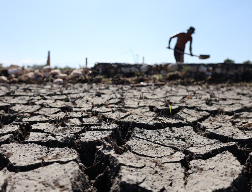 El Niño is shaping up to be the most intense in 150 years