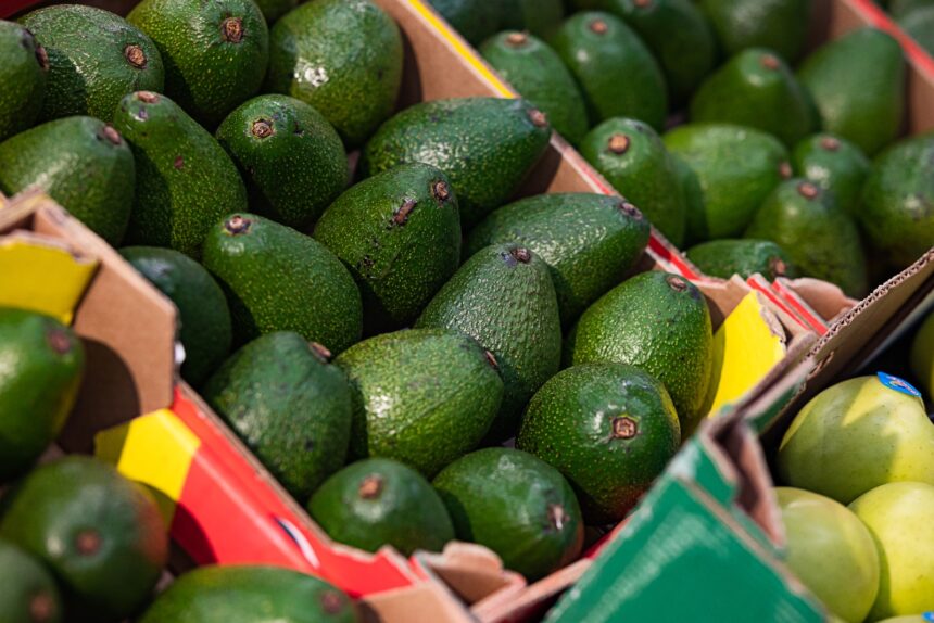 FTA will promote new businesses and strengthen exchange between Guatemala and Peru