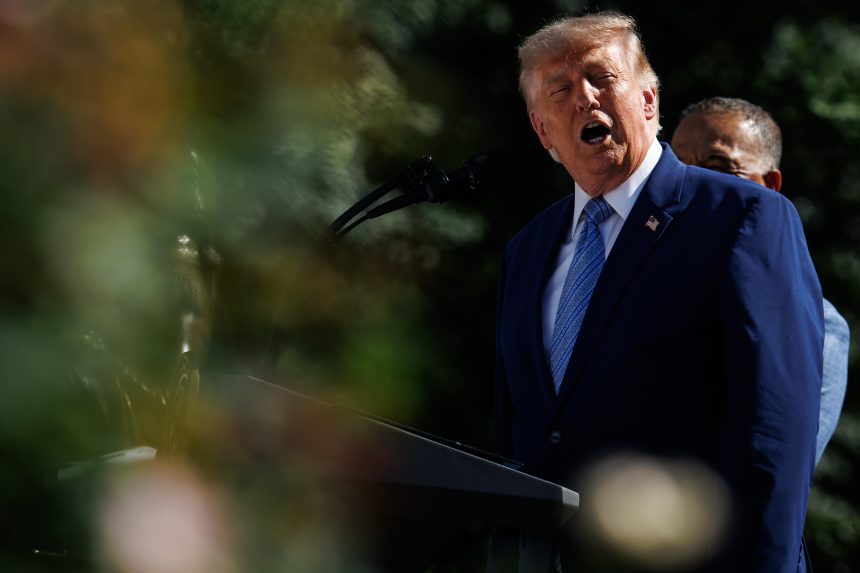 For using emergency money for ICE? The lawsuit of 24 states against the Trump Government