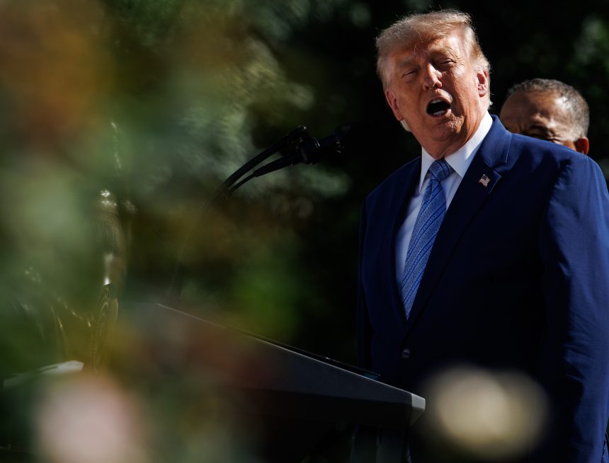 For using emergency money for ICE? The lawsuit of 24 states against the Trump Government