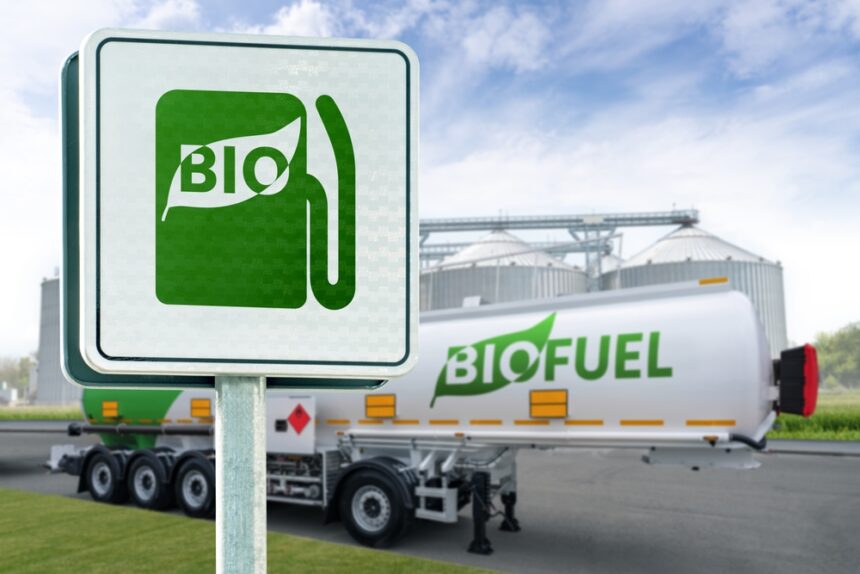 Guaranteed supply, but Congress warns risks without biofuels policy