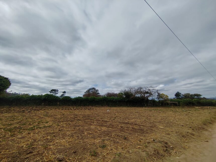 Guatemala faces risk of food crisis due to extreme drought and water deficit Guatemala faces risk of food crisis due to extreme drought and water deficit
