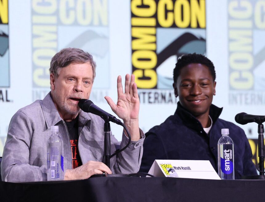 New Black Panther? The actor who will play the prince of Wakanda and how the new story will connect