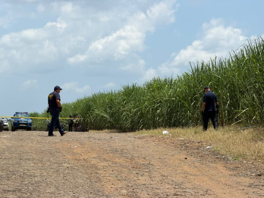 One-year-old girl is found alive next to the bodies of her parents in the sugarcane fields of Retalhuleu One-year-old girl is found alive next to the bodies of her parents in the sugarcane fields of Retalhuleu