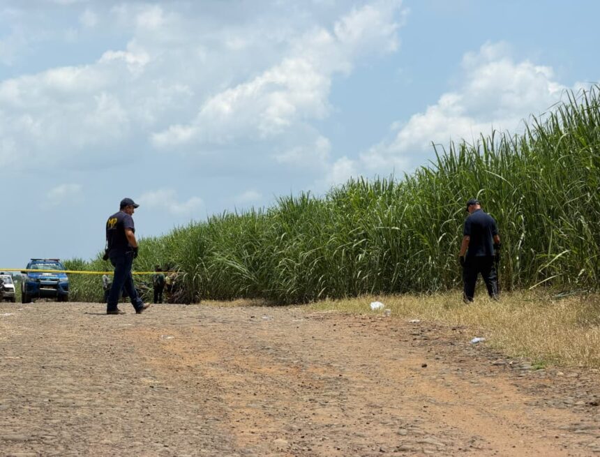 One-year-old girl is found alive next to the bodies of her parents in the sugarcane fields of Retalhuleu One-year-old girl is found alive next to the bodies of her parents in the sugarcane fields of Retalhuleu