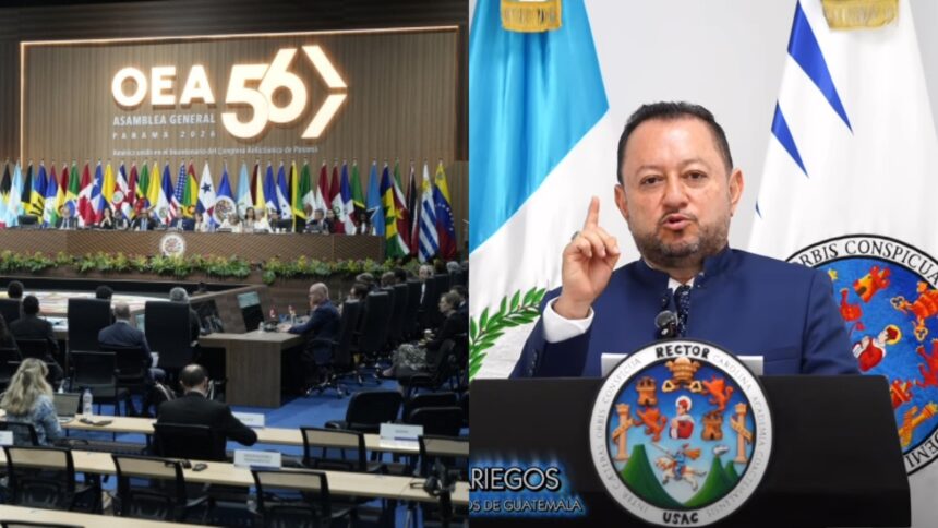 The OAS questions the second term of Walter Mazariegos as rector of the USAC