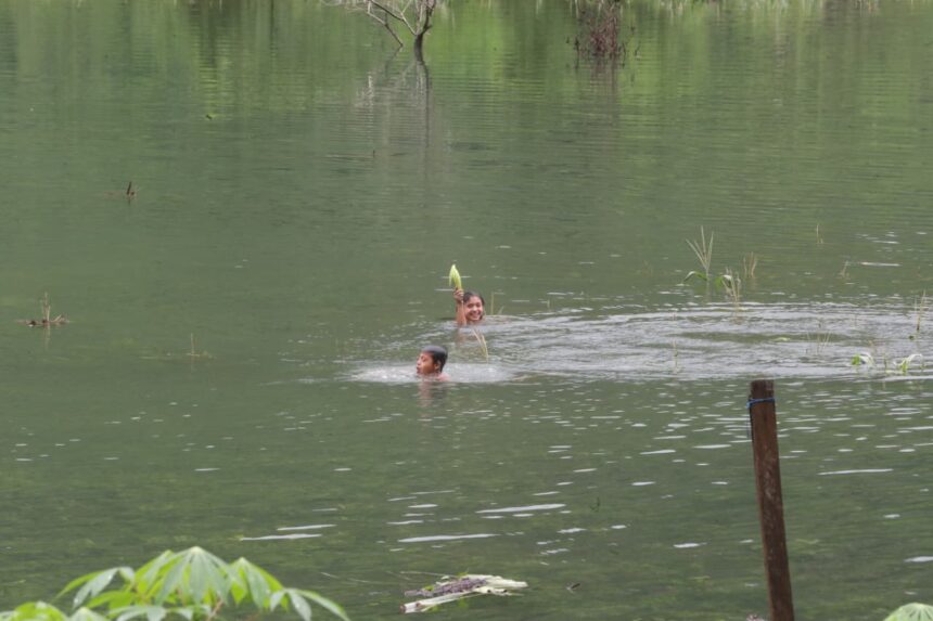 They dive to rescue the corn that will feed their families, while the water destroys the harvest