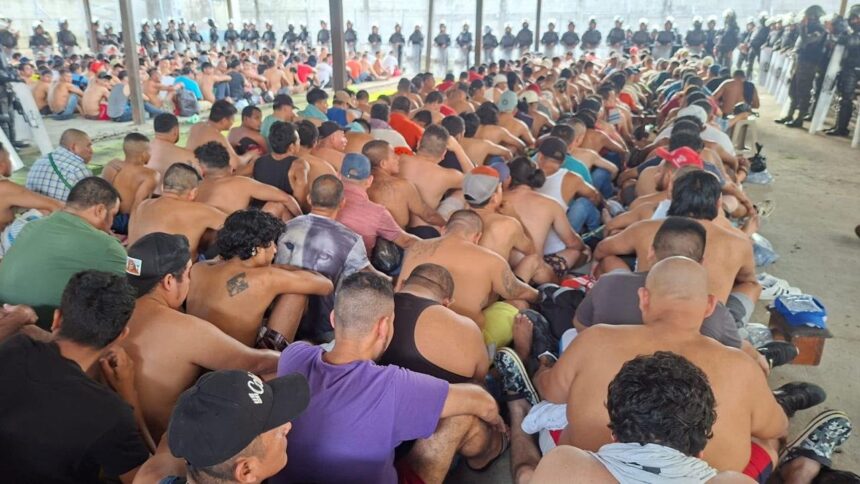 This is how the “La Minga” structure operated from the Puerto Barrios prison, Izabal This is how the “La Minga” structure operated from the Puerto Barrios prison, Izabal
