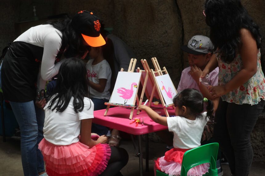 tours, interaction with animals and crafts tours, interaction with animals and crafts