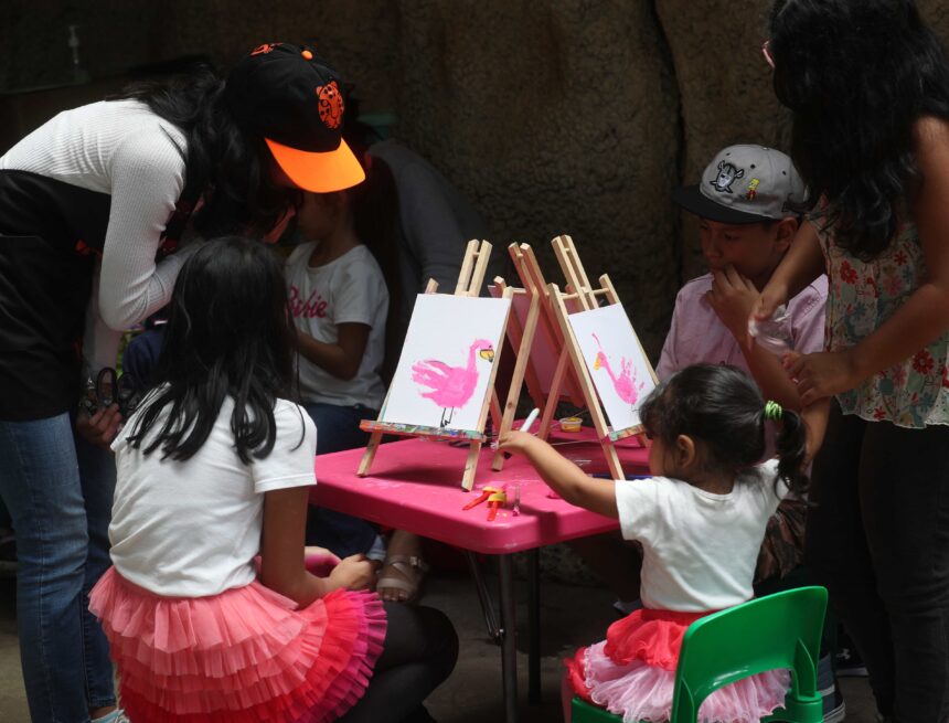 tours, interaction with animals and crafts