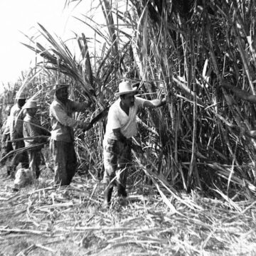 Por qué Cuba no produce suficiente comida y depende del exterior para alimentar a su población